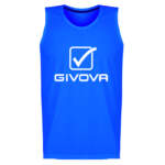 ct03-0203-mple-roua-leuko